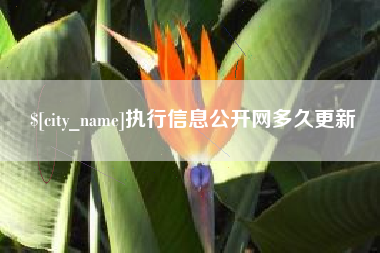 清远执行信息公开网多久更新
