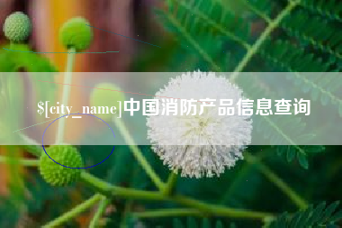 清远中国消防产品信息查询