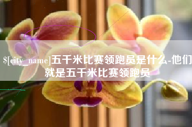 清远五千米比赛领跑员是什么-他们就是五千米比赛领跑员