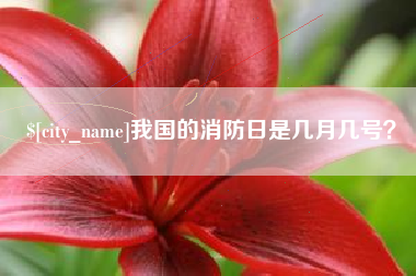 清远我国的消防日是几月几号？