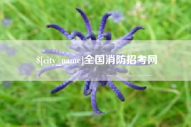 清远全国消防招考网