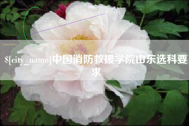 清远中国消防救援学院山东选科要求