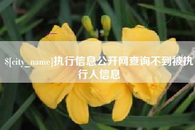 清远执行信息公开网查询不到被执行人信息