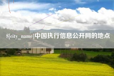 清远中国执行信息公开网的地点