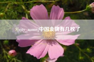 清远中国金牌有几枚了