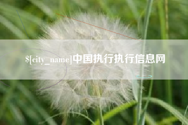 清远中国执行执行信息网
