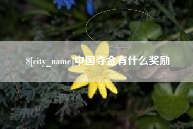 清远中国夺金有什么奖励