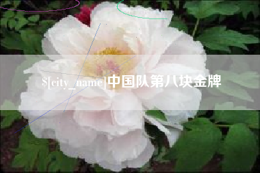 清远中国队第八块金牌