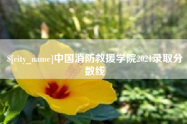 清远中国消防救援学院2021录取分数线