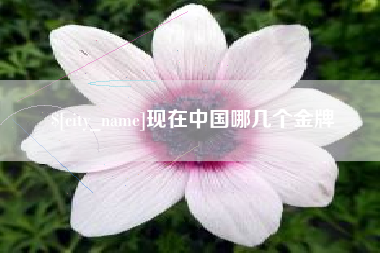 清远现在中国哪几个金牌