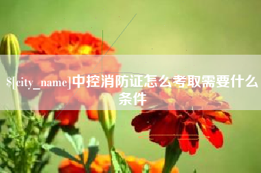 清远中控消防证怎么考取需要什么条件