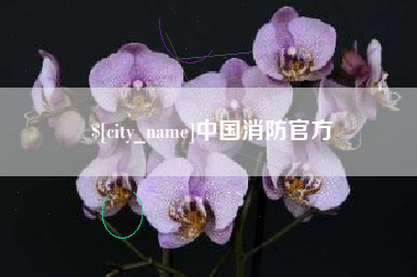 清远中国消防官方