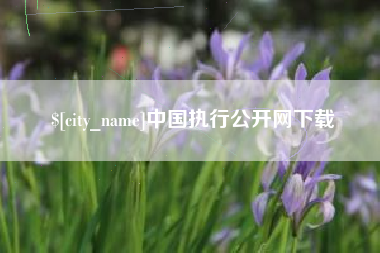 清远中国执行公开网下载