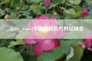 清远中国消防官方网站域名