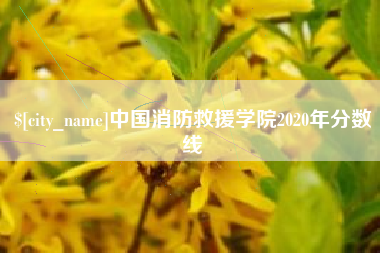 清远中国消防救援学院2020年分数线