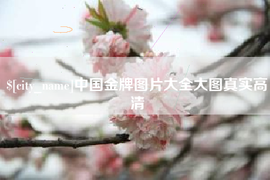 清远中国金牌图片大全大图真实高清