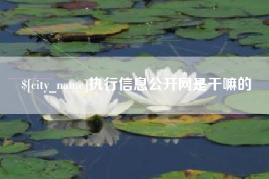 清远执行信息公开网是干嘛的