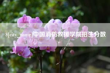 清远中国消防救援学院招生分数