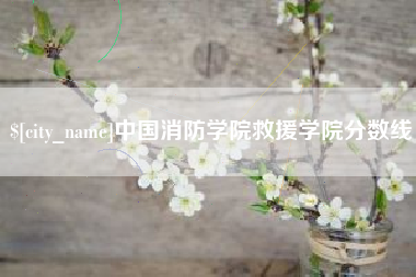 清远中国消防学院救援学院分数线