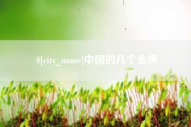 清远中国的几个金牌
