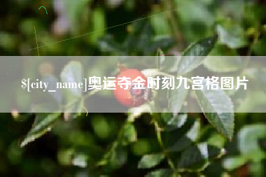 清远奥运夺金时刻九宫格图片