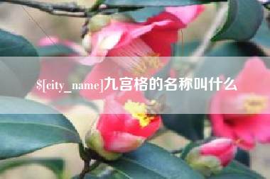 清远九宫格的名称叫什么