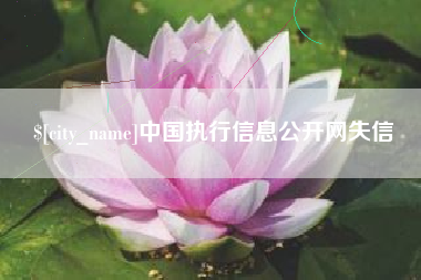 清远中国执行信息公开网失信