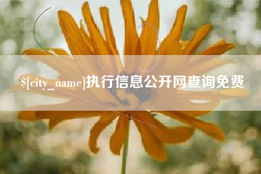 清远执行信息公开网查询免费