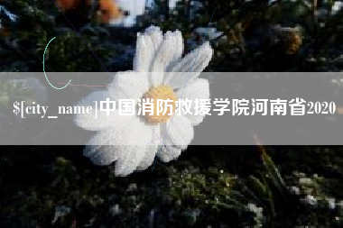 清远中国消防救援学院河南省2020